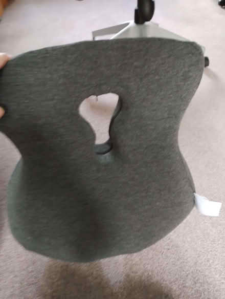 Photo of free Back support (Monkspath B90) #1