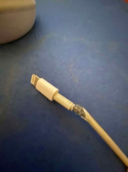 Photo of free Apple USB-A to Lightning (San Anselmo, near the "hub") #2