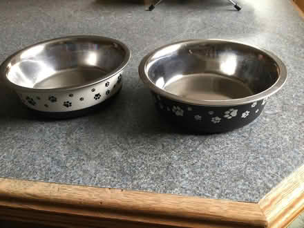 Photo of free Two stainless steel pet bowls (Eye) #1