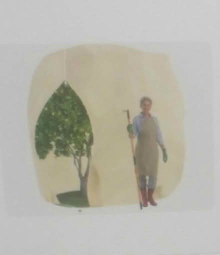 Photo of free Frost protection tree cover (southey green S5) #1