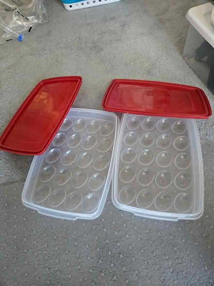 Photo of free Deviled egg storage containers (Centre Ridge Regent) #1