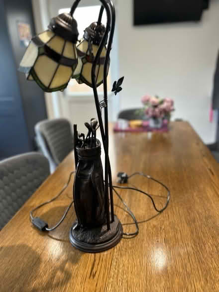Photo of free Tiffany style golf themed lamp (Dunham on the Hill WA6) #2
