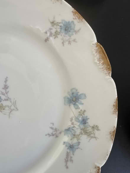 Photo of free Fine Haviland China Set (just south of Baltimore Pike) #2