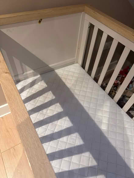 Photo of free Cot and mattress (Folly island SG14) #3