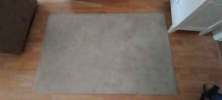 Photo of free Rug (Derby near Mackworth) #1