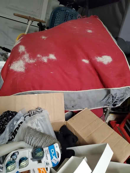 Photo of free 2 big dog beds (pending) (South Oak Park) #2