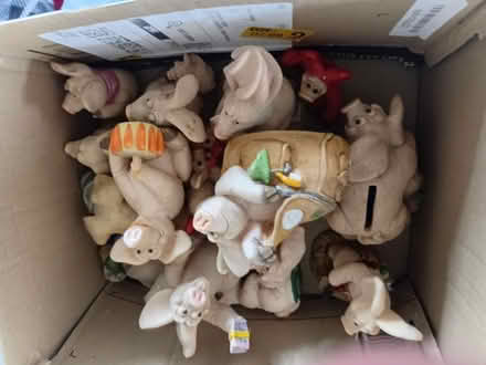 Photo of free Piggin collectables (Marsh LA1) #1