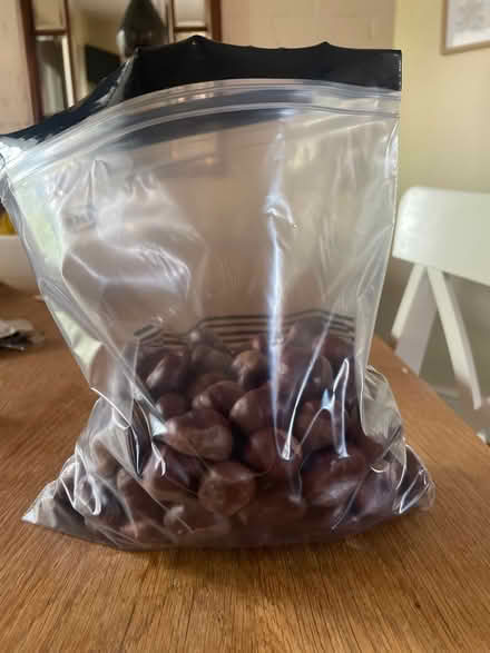 Photo of free Bag of conkers (Sherwood NG5) #1