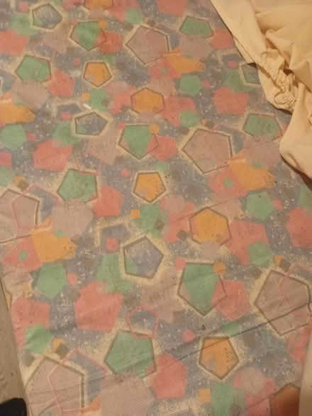 Photo of free Fold up single bed and mattress (Whitehill GU35) #2