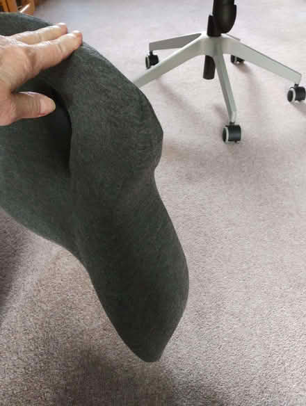 Photo of free Back support (Monkspath B90) #3