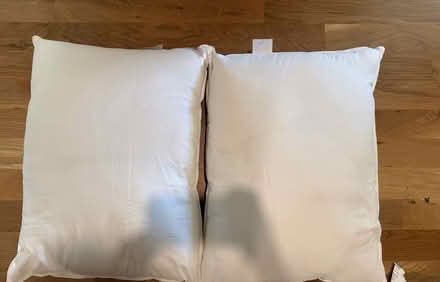 Photo of free 5 pillows (02840) #1
