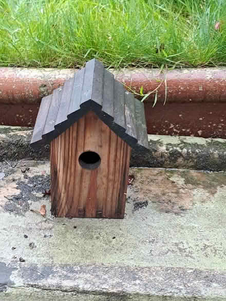 Photo of free Bluetit box (Macclesfield SK11) #1