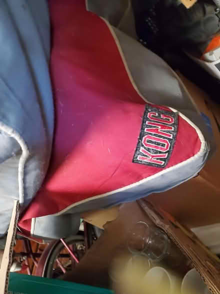 Photo of free 2 big dog beds (pending) (South Oak Park) #1