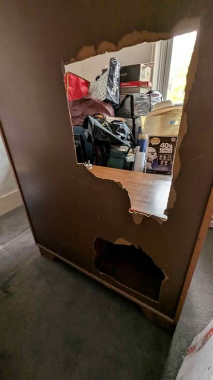 Photo of free Vintage shelves (NW3 London) #2