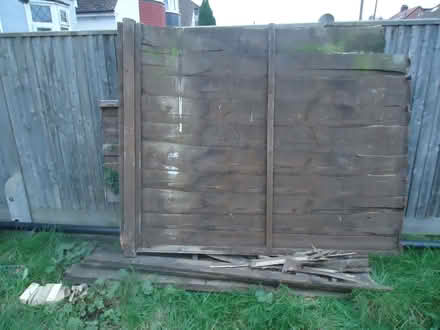 Photo of free Old fencing panels & timber posts. Bonfire,fire pit,kindling (Willingdon BN20) #2