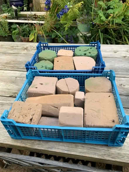 Photo of free Oasis (Letchworth SG6) #1