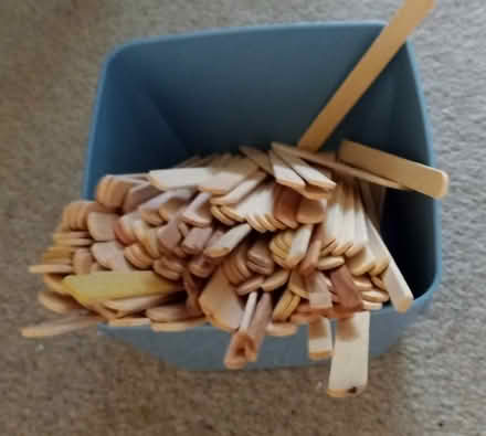 Photo of free used popsicle sticks (Bayshore) #2