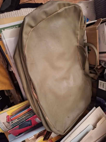 Photo of free 2 green panier bags (GL51) #1