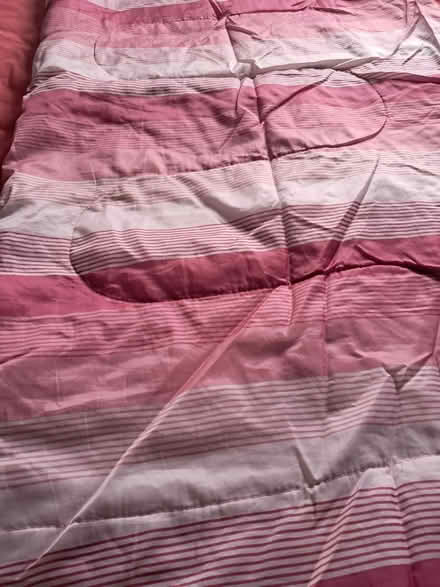 Photo of free Adult sized sleeping bag (Westhampnett) #2