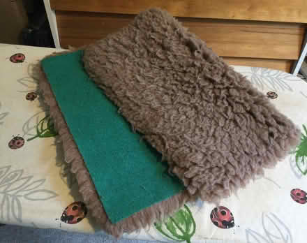 Photo of free Cat mat? (Sandbach Heath CW11) #1
