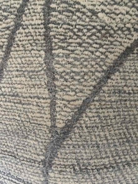 Photo of free Beige 5’x7’ Wool Rug (SL6 Maidenhead) #2