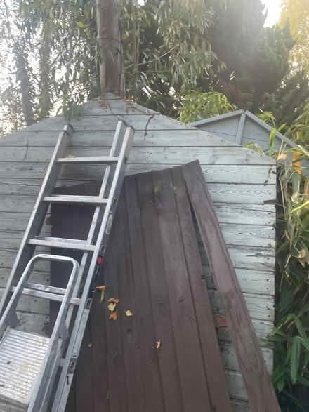 Photo of free Wood (At albans) #1