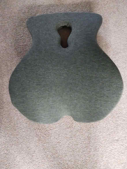 Photo of free Back support (Monkspath B90) #2