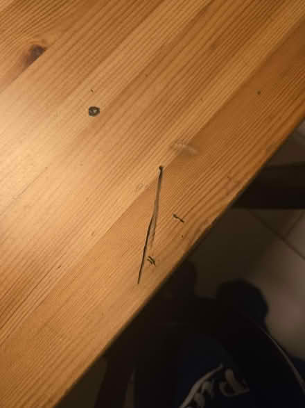 Photo of free 63" long dining table (East Harlem) #4