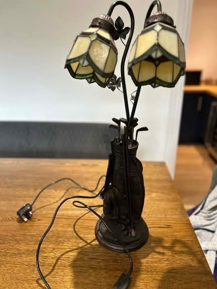 Photo of free Tiffany style golf themed lamp (Dunham on the Hill WA6) #1