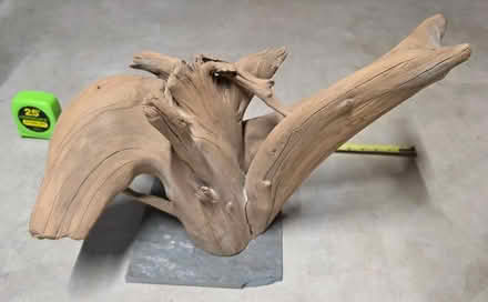 Photo of free Aquarium driftwood decoration (63011 Weidman and Dutch Mill) #1