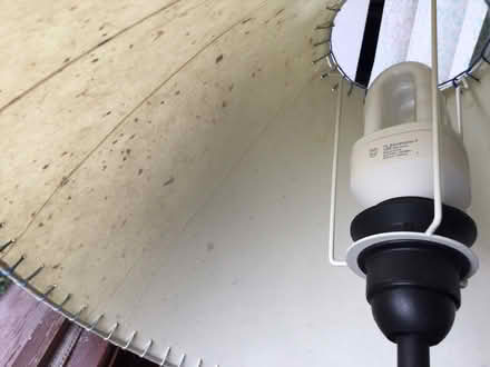 Photo of free Ikea Table Lamp (Sandbach Heath CW11) #2