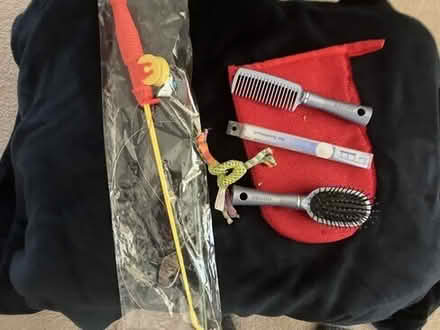 Photo of free Cat Accessories (with picture) #1