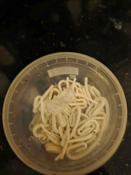 Photo of free Curtain clips (Enfield EN2) #1