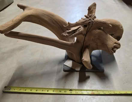 Photo of free Aquarium driftwood decoration (63011 Weidman and Dutch Mill) #3