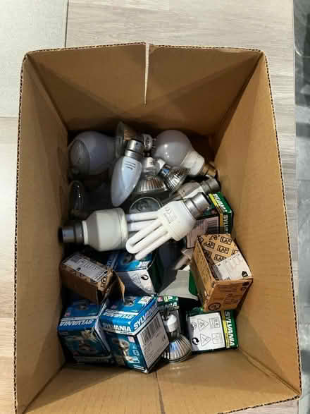 Photo of free Various lightbulbs (B90 Shirley) #1