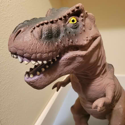 Photo of free 17 Inch Tall T-Rex (Bellevue-Redmond) #3