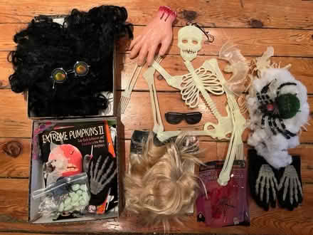Photo of free Halloween decorations & wigs (New Edinburgh) #1