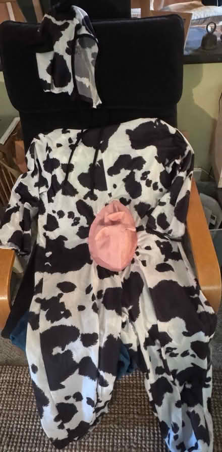 Photo of free Halloween costume (West Brighton) #1