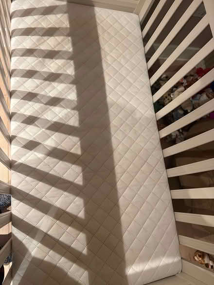 Photo of free Cot and mattress (Folly island SG14) #2