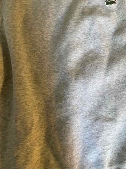 Photo of free Lacoste Sport Gray Sweatshirt (Sunset park) #4