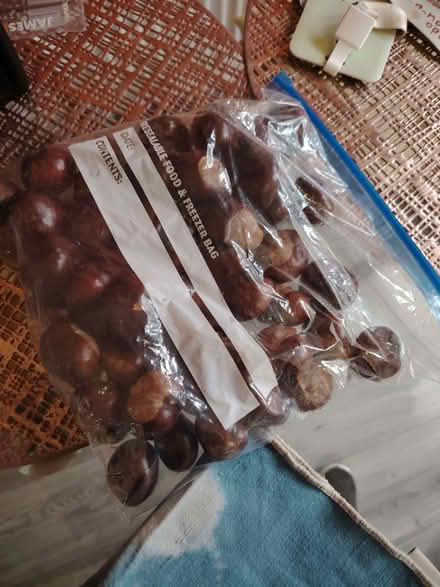 Photo of free Bag of conkers (Fazakerley L11) #1