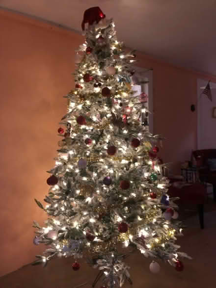 Photo of free Christmas tree (Satellite beach) #2