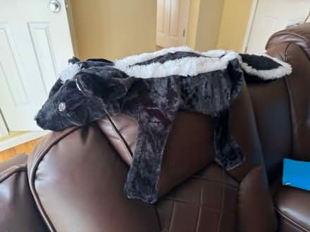 Photo of free Doggie costume (New City NY) #1