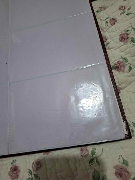 Photo of free Photo album (Henley-on-Thames RG9) #2