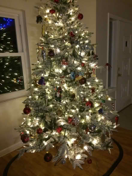 Photo of free Christmas tree (Satellite beach) #4