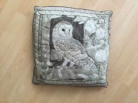 Photo of free Owl cushion (B62 near Blackheath) #1