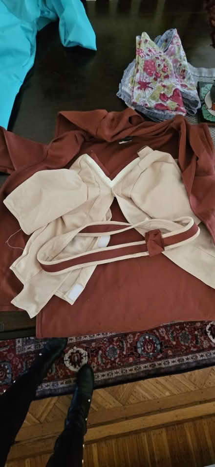 Photo of free Dog Jedi Halloween Costume (Northern Columbia Heights) #1