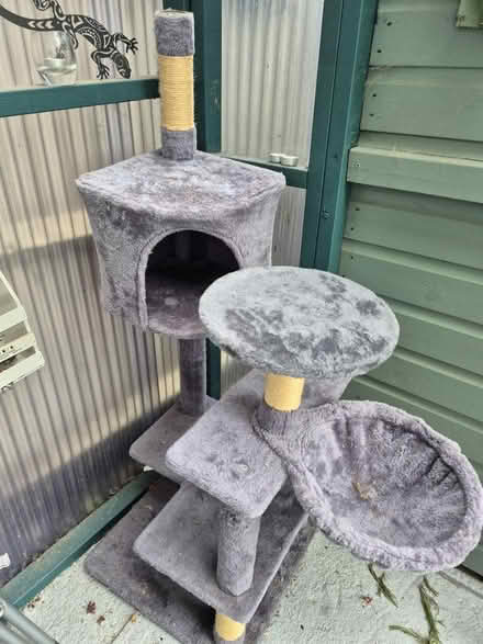 Photo of free cat tree (N17 the roundway) #1