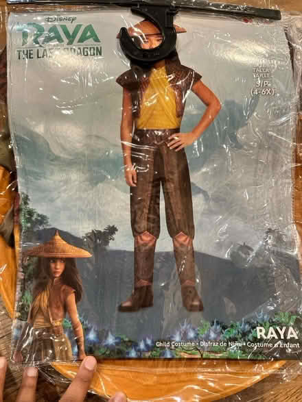 Photo of free Girl Raya costume size 4-6x (Mountain View) #1