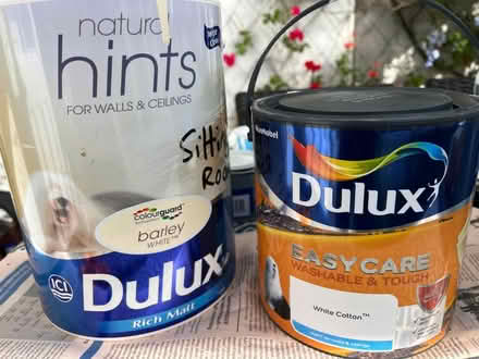 Photo of free Emulsion Paint (Southborough) #1